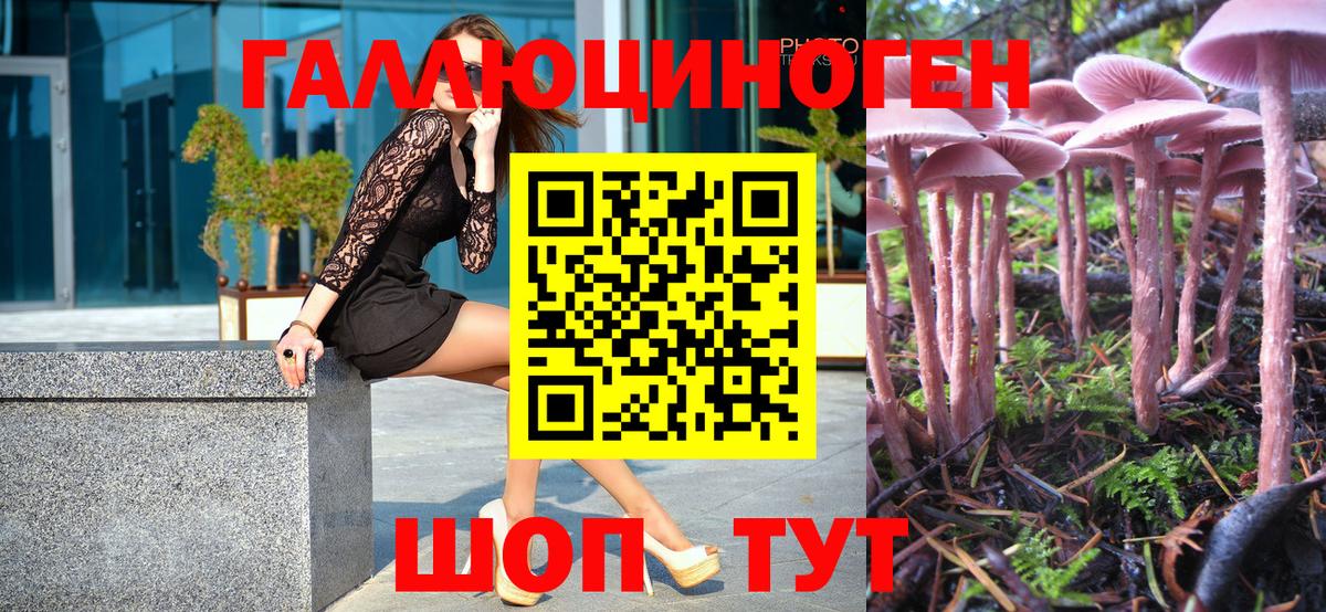 Псилоцибиновые грибы Magic Shrooms Серов